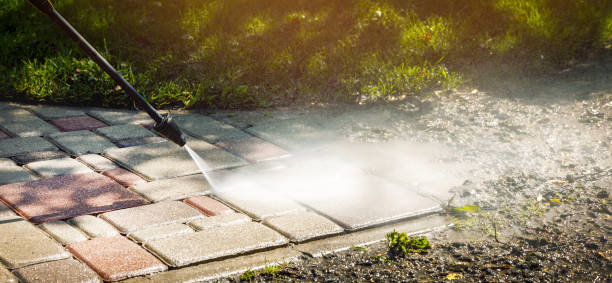 Best Animal Enclosure Cleaning  in Orofino, ID